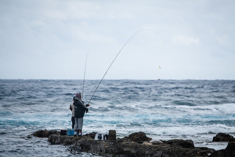 How to Choose the Right Fishing Rod for Your Local Water